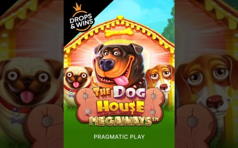Gagnez d'énormes friandises avec The Dog House sur 1Win.